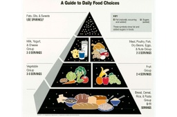 DietGuides.com
